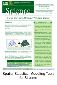 Spatial Statistical Modeling Tools for Streams